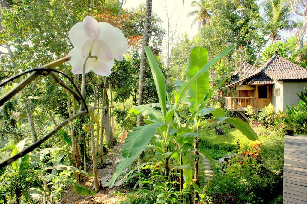 Prashanti Bali Ubud Eksteriør billede