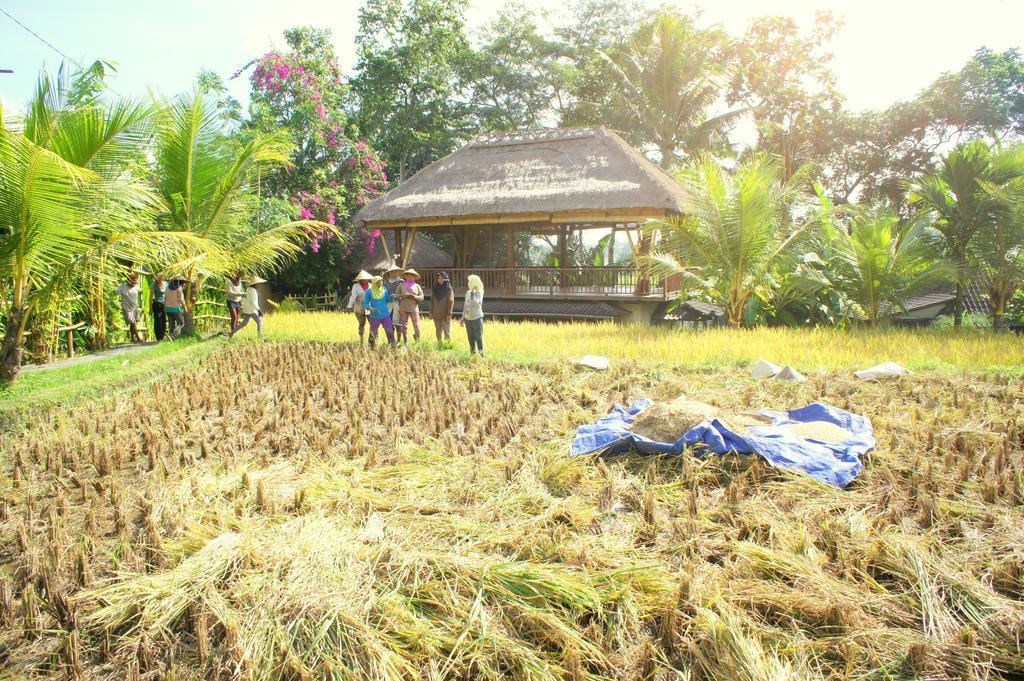 Prashanti Bali Ubud Eksteriør billede