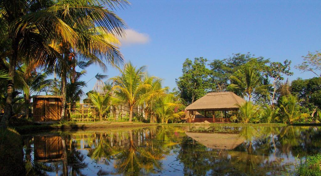 Prashanti Bali Ubud Eksteriør billede