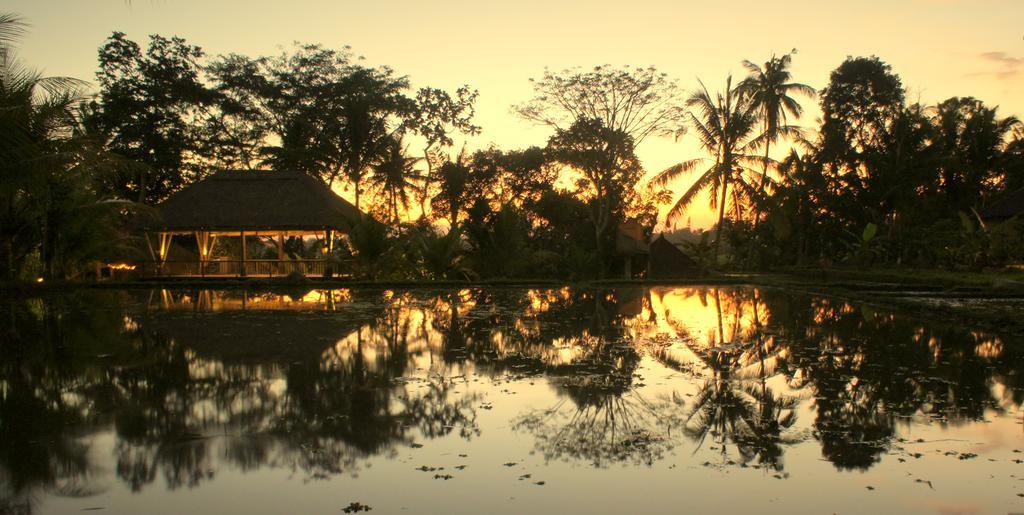 Prashanti Bali Ubud Eksteriør billede